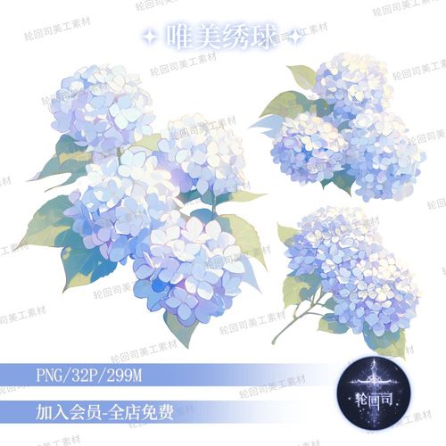 蓝色绣球花 文游美工中的梦幻装饰元素